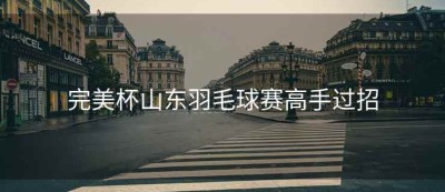 完美杯山东羽毛球赛高手过招