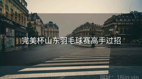 完美杯山东羽毛球赛高手过招