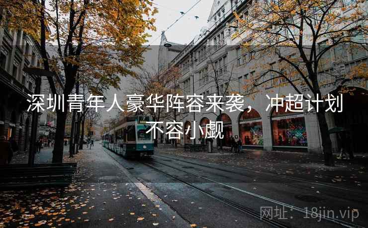深圳青年人豪华阵容来袭，冲超计划不容小觑